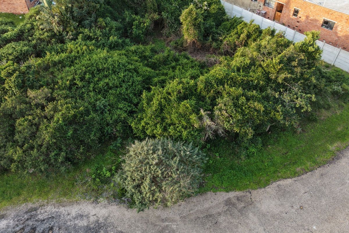 An aerial view of a vacant residential plot covered in dense, overgrown vegetation, situated adjacent to existing residential properties and a paved road.