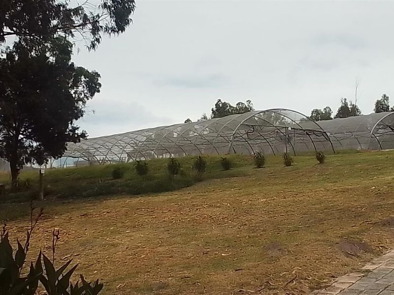 farm For Sale in Sedgefield - Photo 7