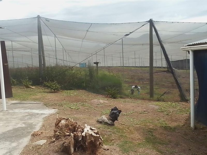 farm For Sale in Sedgefield - Photo 4