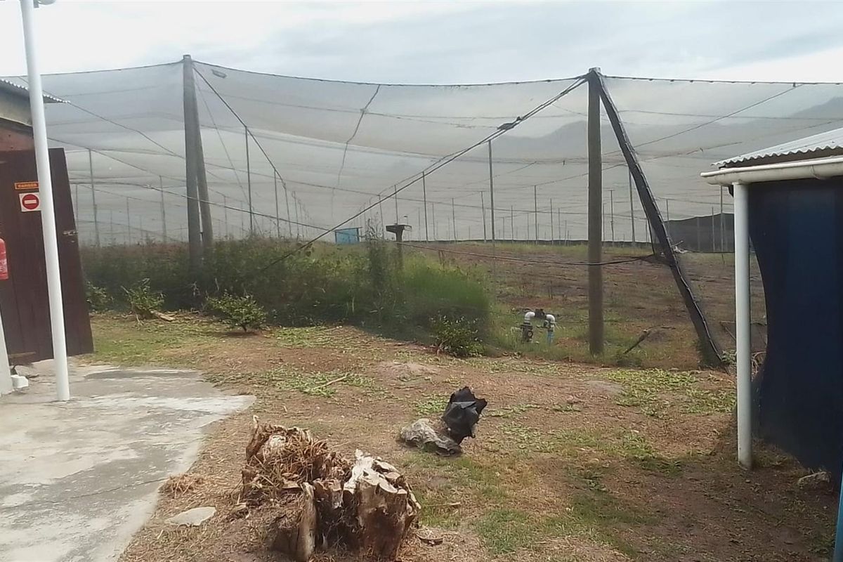farm For Sale in Sedgefield - Photo 4