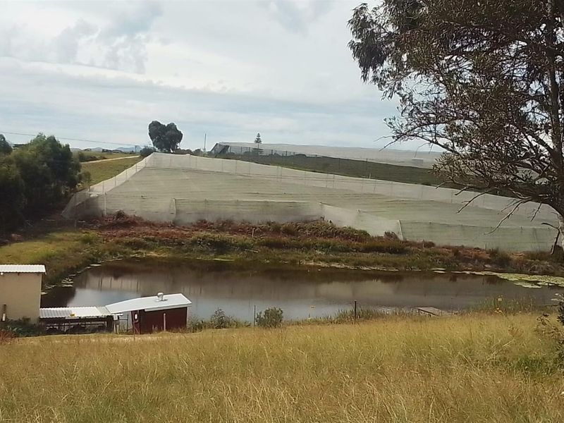 farm For Sale in Sedgefield - Photo 5
