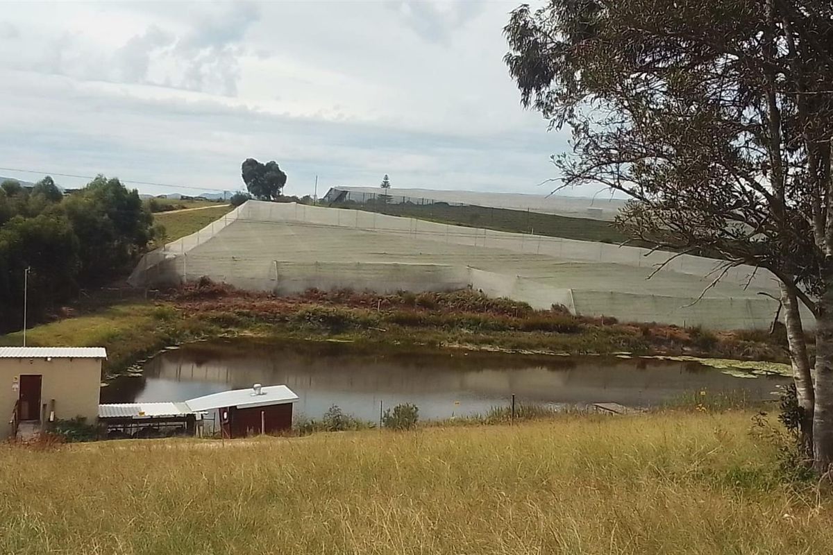 farm For Sale in Sedgefield - Photo 5