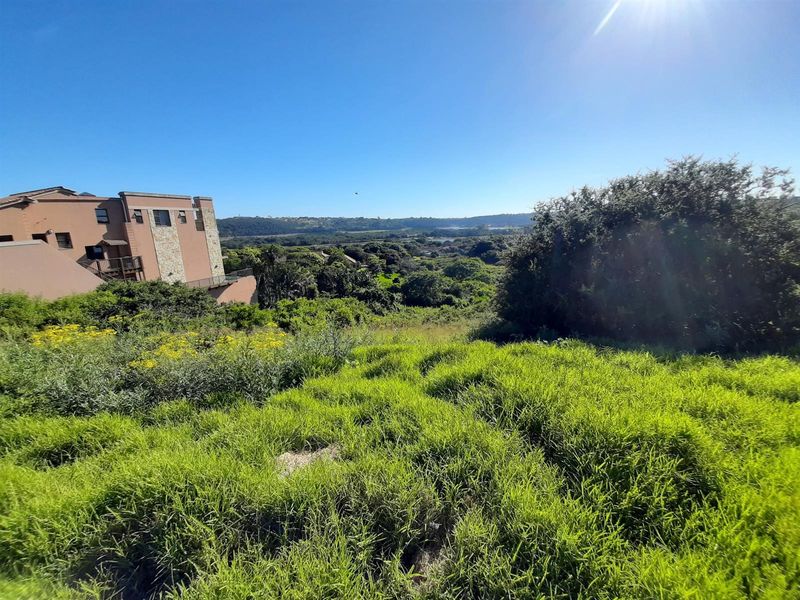 A view of the vacant residential land featuring natural vegetation and surrounding landscape, with neighboring residential architecture visible in the distance.
