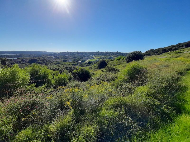 A scenic view overlooking the natural landscape and surrounding residential area from the vacant land plot.