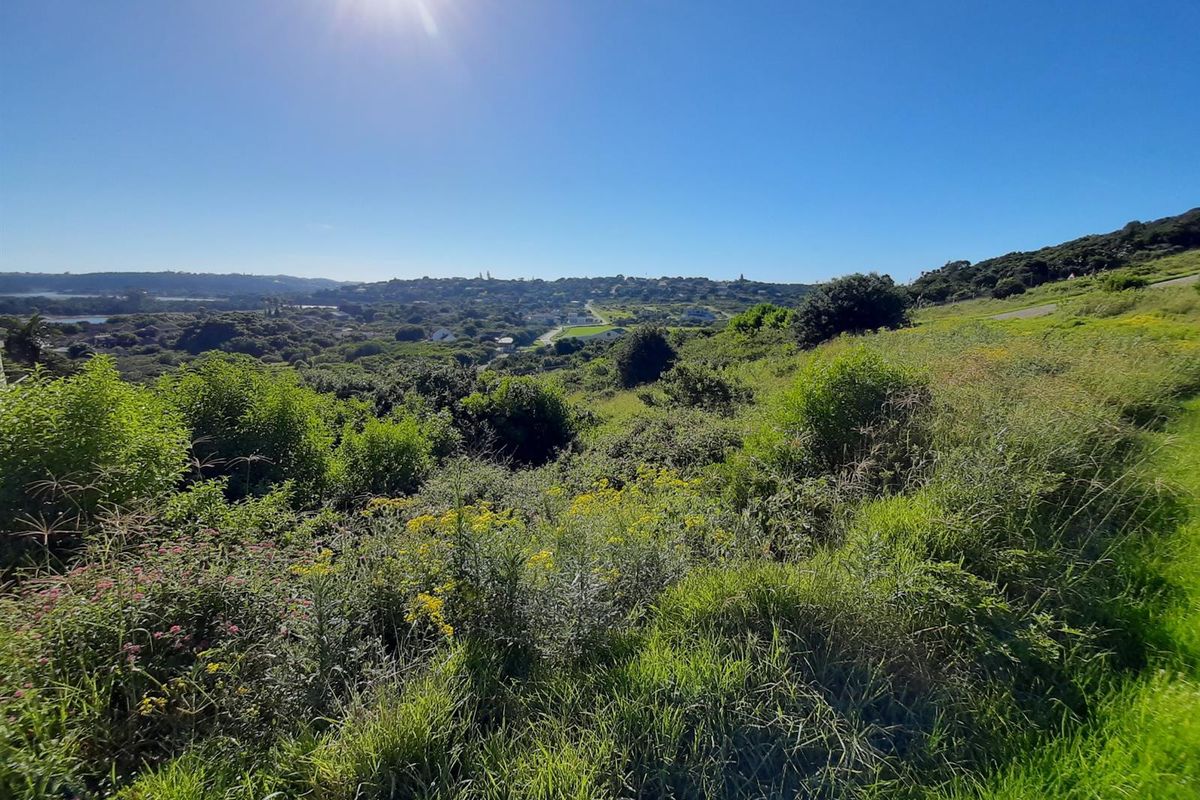 A scenic view overlooking the natural landscape and surrounding residential area from the vacant land plot.