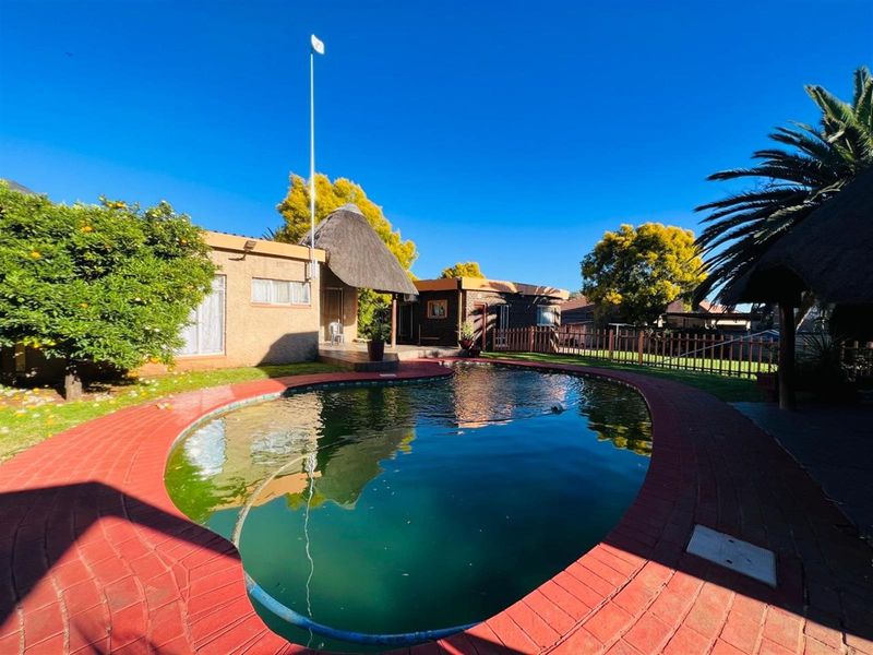 A backyard area featuring a swimming pool with brick paving, surrounded by a garden and adjacent to the rear building facade.