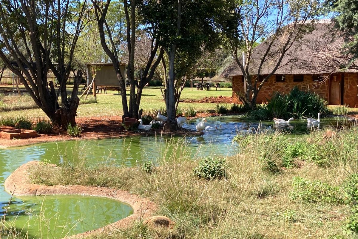 A scenic garden area featuring a natural pond, mature trees, and a rustic stone-walled building with a thatched roof on the small holding.