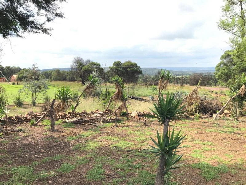 Expansive rural landscape view featuring natural vegetation, scattered trees, and open field areas typical of a small holding property.