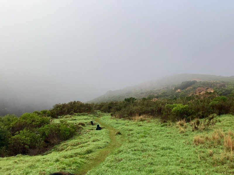 A scenic view of the natural landscape and rolling hills on the small holding property, featuring grassy terrain and native vegetation.