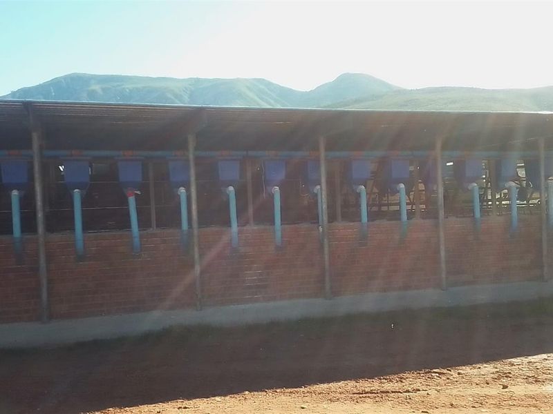 Dairy farm for sale in Kareedouw - Photo 10