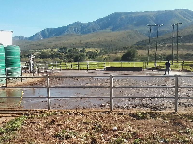 Dairy farm for sale in Kareedouw - Photo 8
