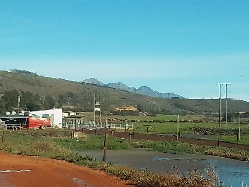 Dairy farm for sale in Kareedouw - Photo 7
