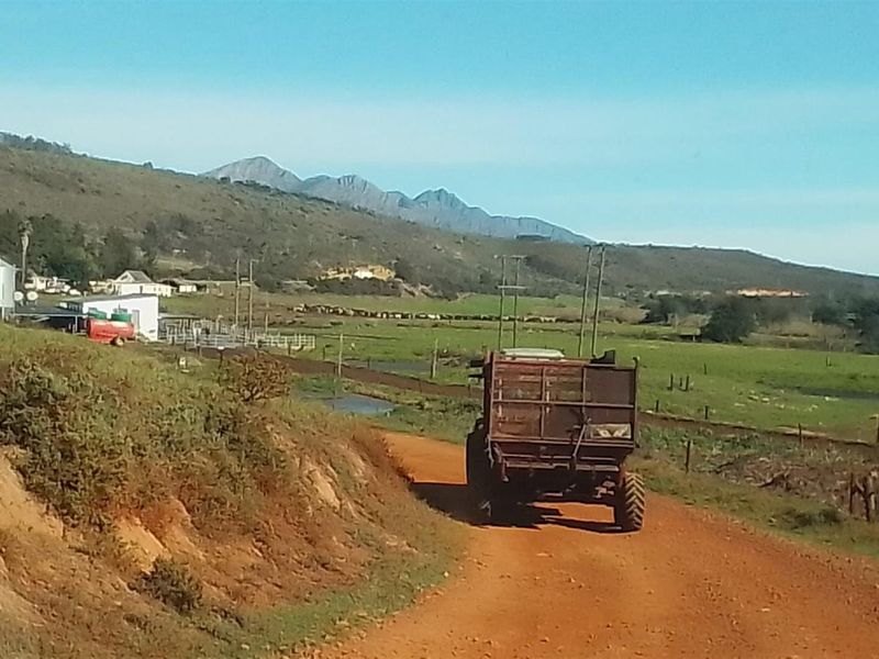 Dairy farm for sale in Kareedouw - Photo 6