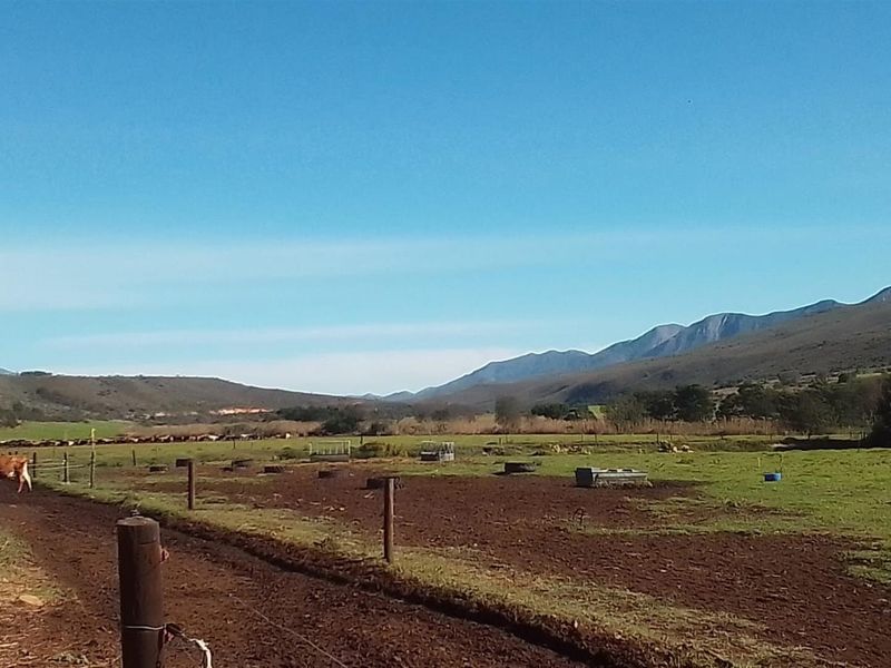 Dairy farm for sale in Kareedouw - Photo 4