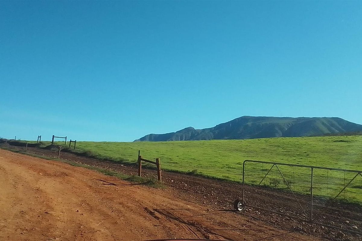 Dairy farm for sale in Kareedouw - Photo 3