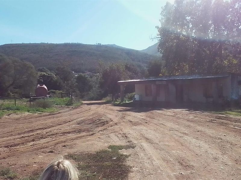 Dairy farm for sale Kareedouw - Photo 6