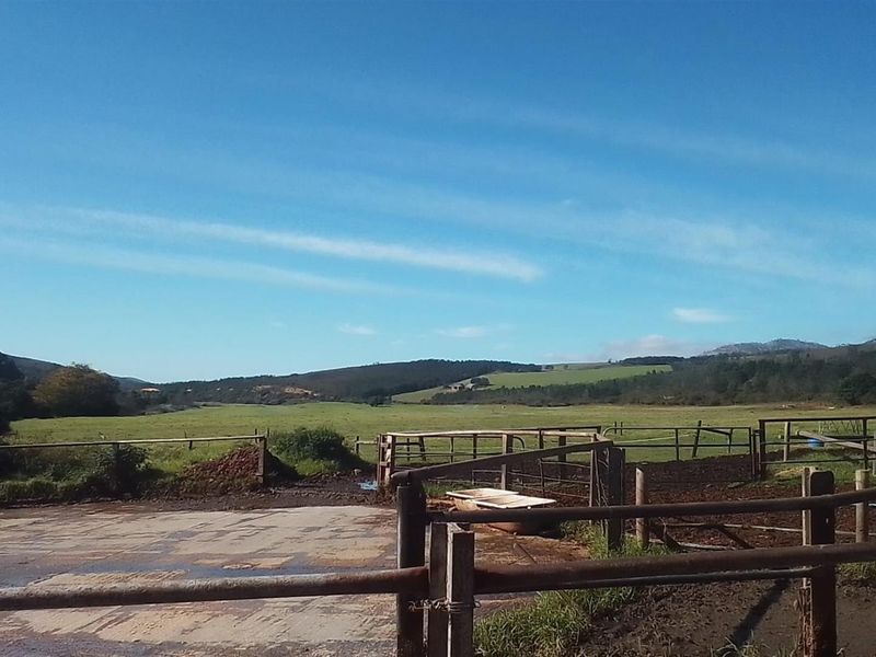 Dairy farm for sale Kareedouw - Photo 10