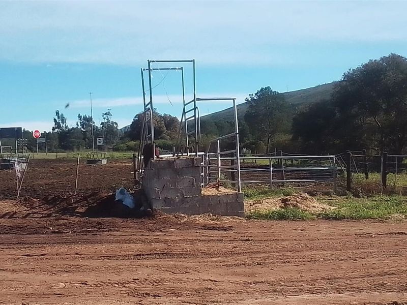 Dairy farm for sale Kareedouw - Photo 5