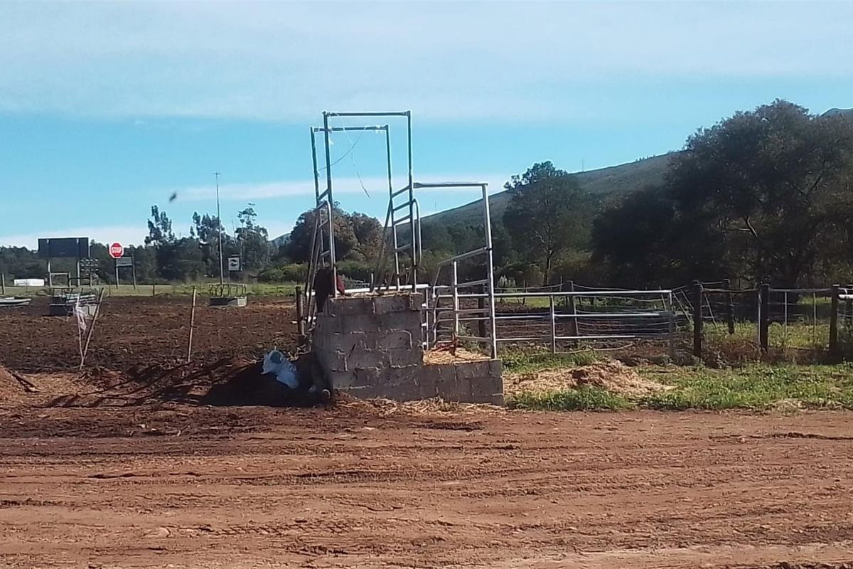 Dairy farm for sale Kareedouw - Photo 5