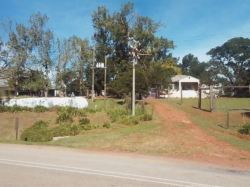 Dairy farm for sale Kareedouw - Photo 4
