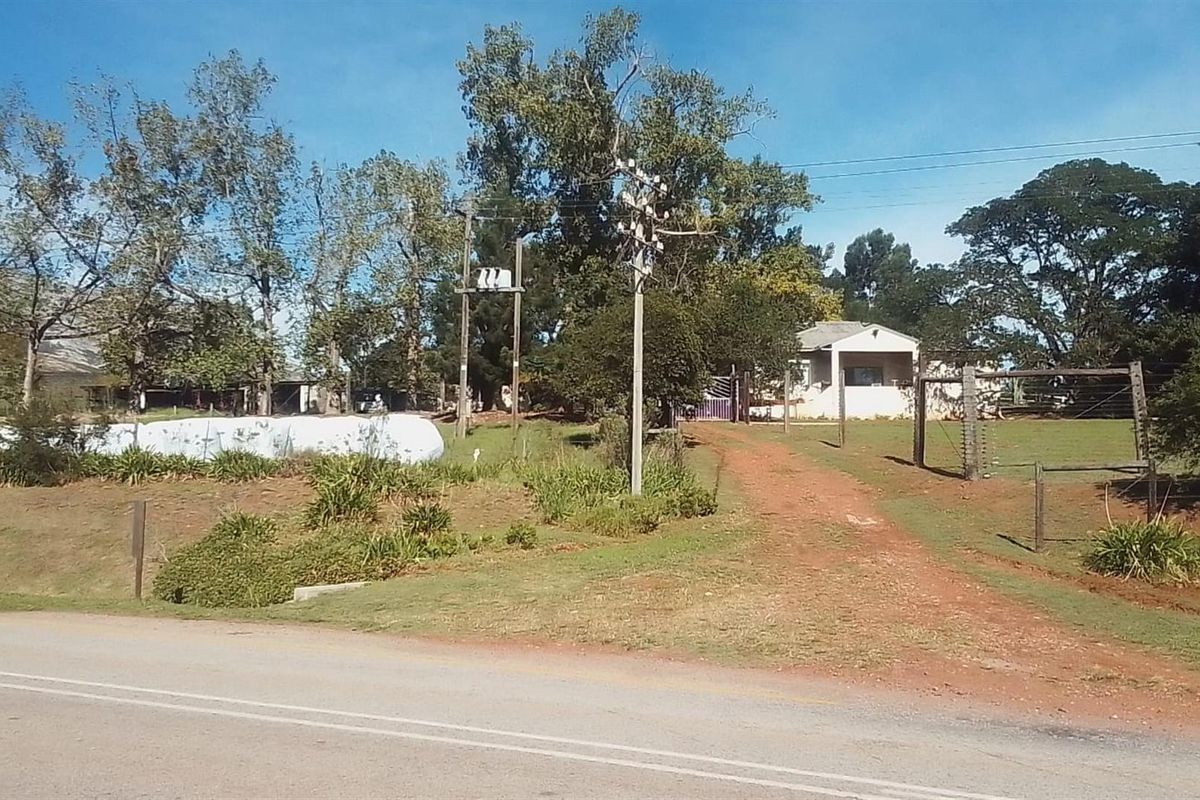 Dairy farm for sale Kareedouw - Photo 4