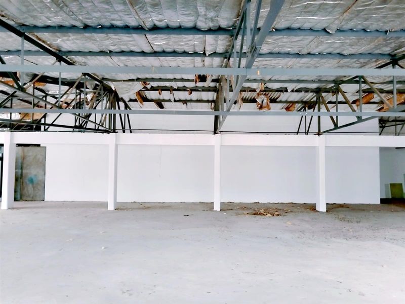 A large, open-plan commercial warehouse space featuring exposed steel roof trusses, damaged ceiling insulation, and concrete flooring.
