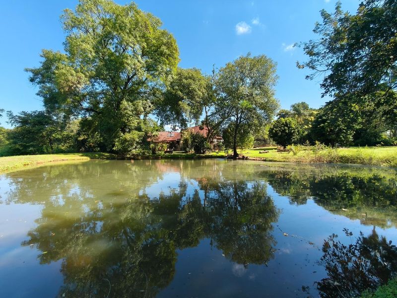 A serene view of a natural pond on the small holding, featuring mature trees and a glimpse of the main dwelling in the background.