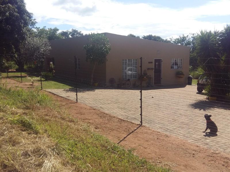 Income-Generating Airbnb, Smallholding Near University of Mpumalanga - Photo 8