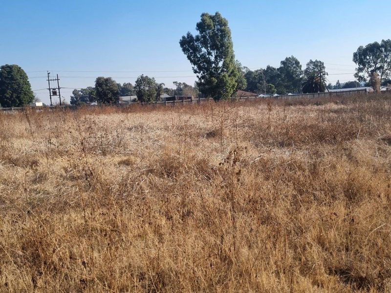 A wide, undeveloped plot of land featuring dry, overgrown grass and mature trees, suitable for future agricultural or residential development.