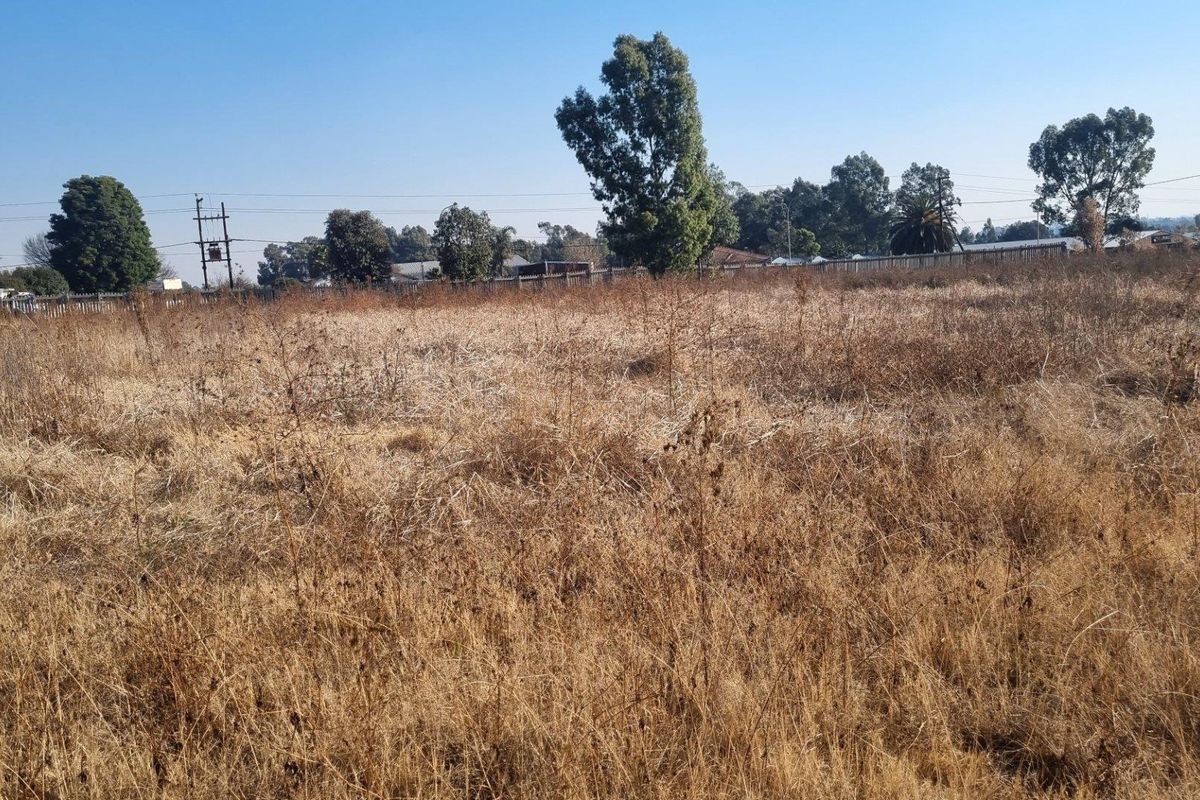 A wide, undeveloped plot of land featuring dry, overgrown grass and mature trees, suitable for future agricultural or residential development.