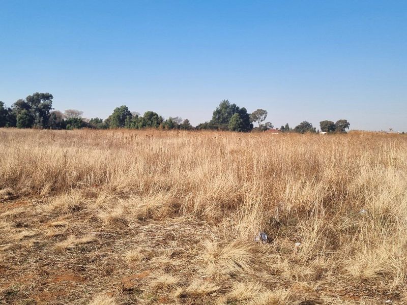 Expansive open farm land featuring dry grass fields and a distant communication tower under a clear blue sky.