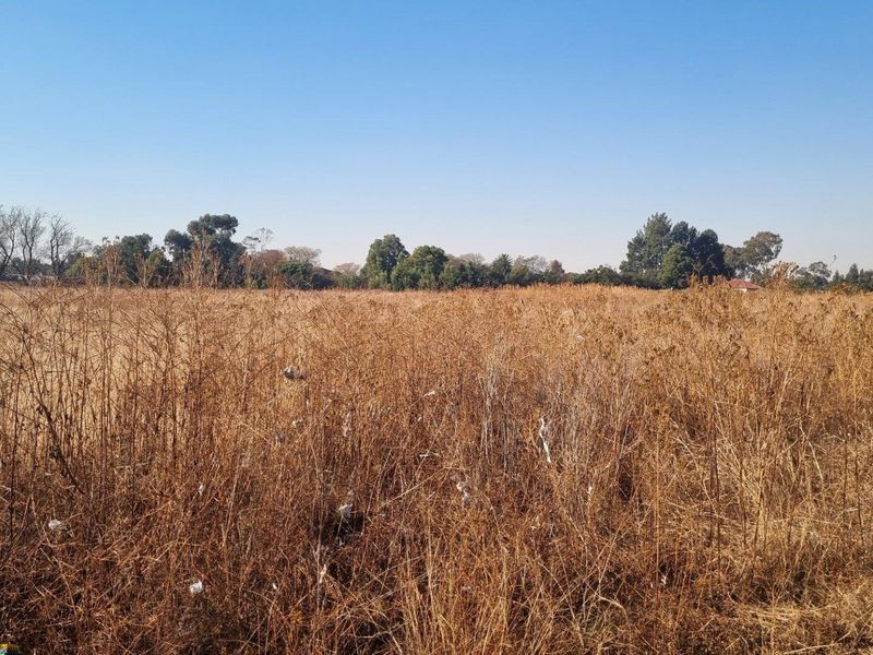 An expansive, undeveloped plot of land featuring dry, overgrown grass and scattered trees under a clear blue sky.