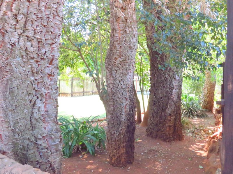 Prime Income-Generating Agricultural Investment - 23.0341 HA Multi-Dwelling Farm - Photo 5
