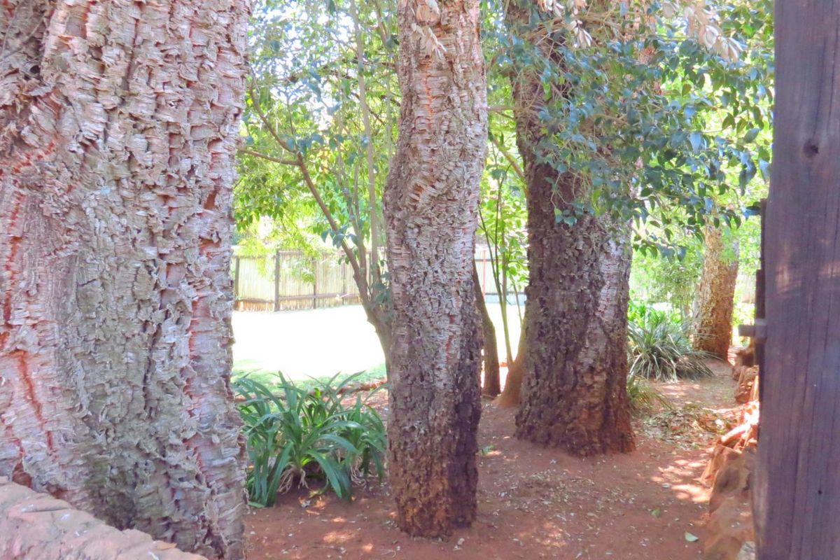 Prime Income-Generating Agricultural Investment - 23.0341 HA Multi-Dwelling Farm - Photo 5