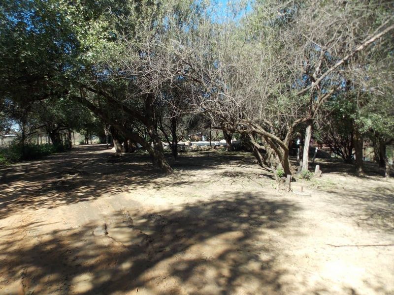 Farm for sale with a lot of opportunities and fishing chalets next to the Vaal River. - Photo 6