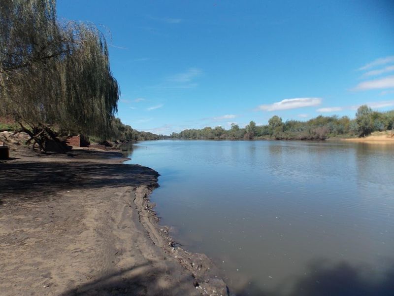 Farm for sale with a lot of opportunities and fishing chalets next to the Vaal River. - Photo 2