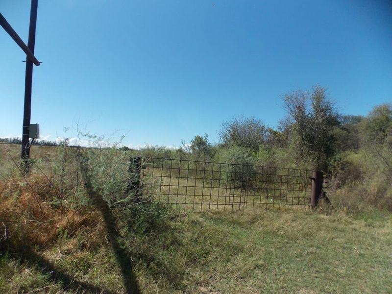 Farm for sale with a lot of opportunities and fishing chalets next to the Vaal River. - Photo 5