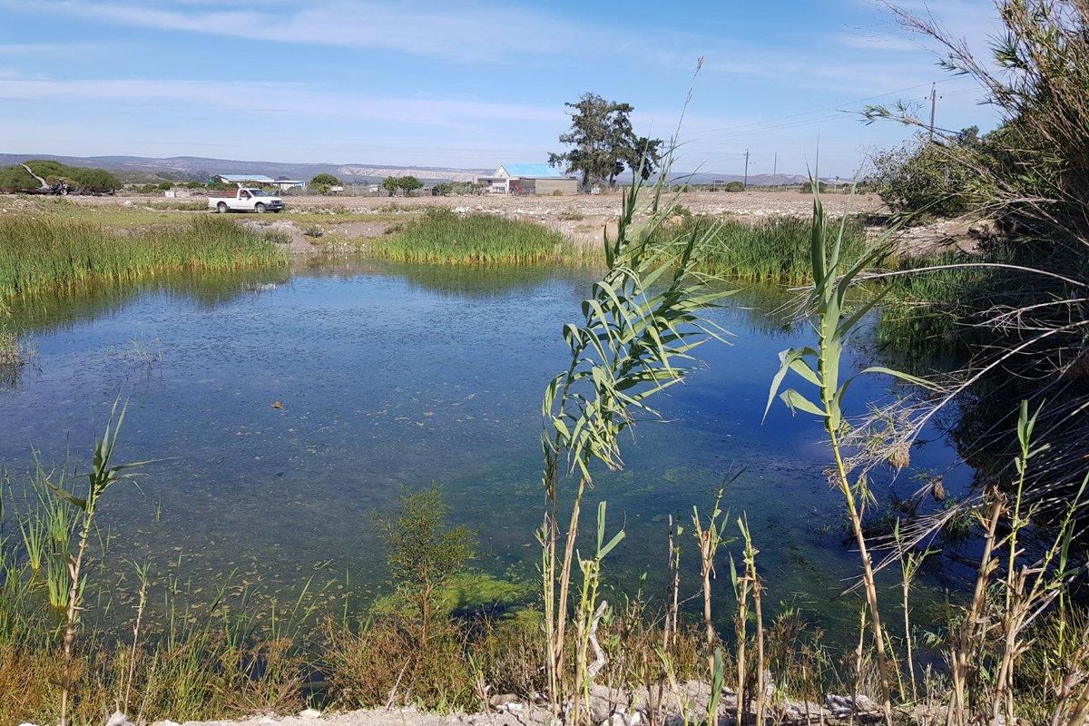 Farm For Sale in Stilbaai Rural, Stilbaai - Photo 3