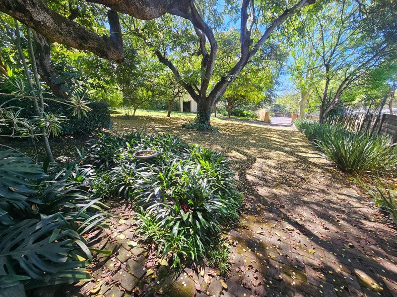Investor’s Dream: Multi-Living Property with Income Potential. - Photo 2