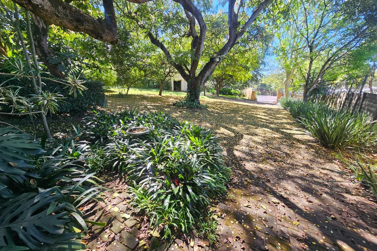Investor’s Dream: Multi-Living Property with Income Potential. - Photo 2