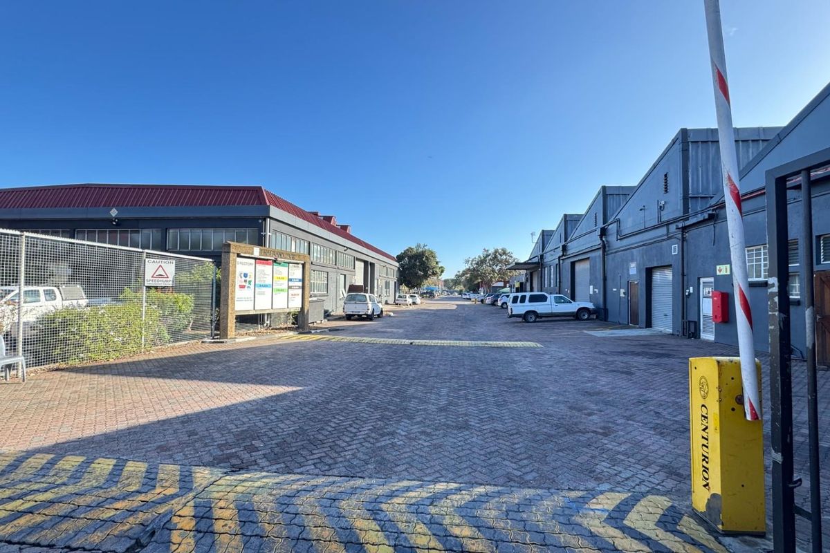300m2 Warehouse To Let | Maitland Industrial Park | Secure, Functional with Great Natural Sunlight - Photo 5