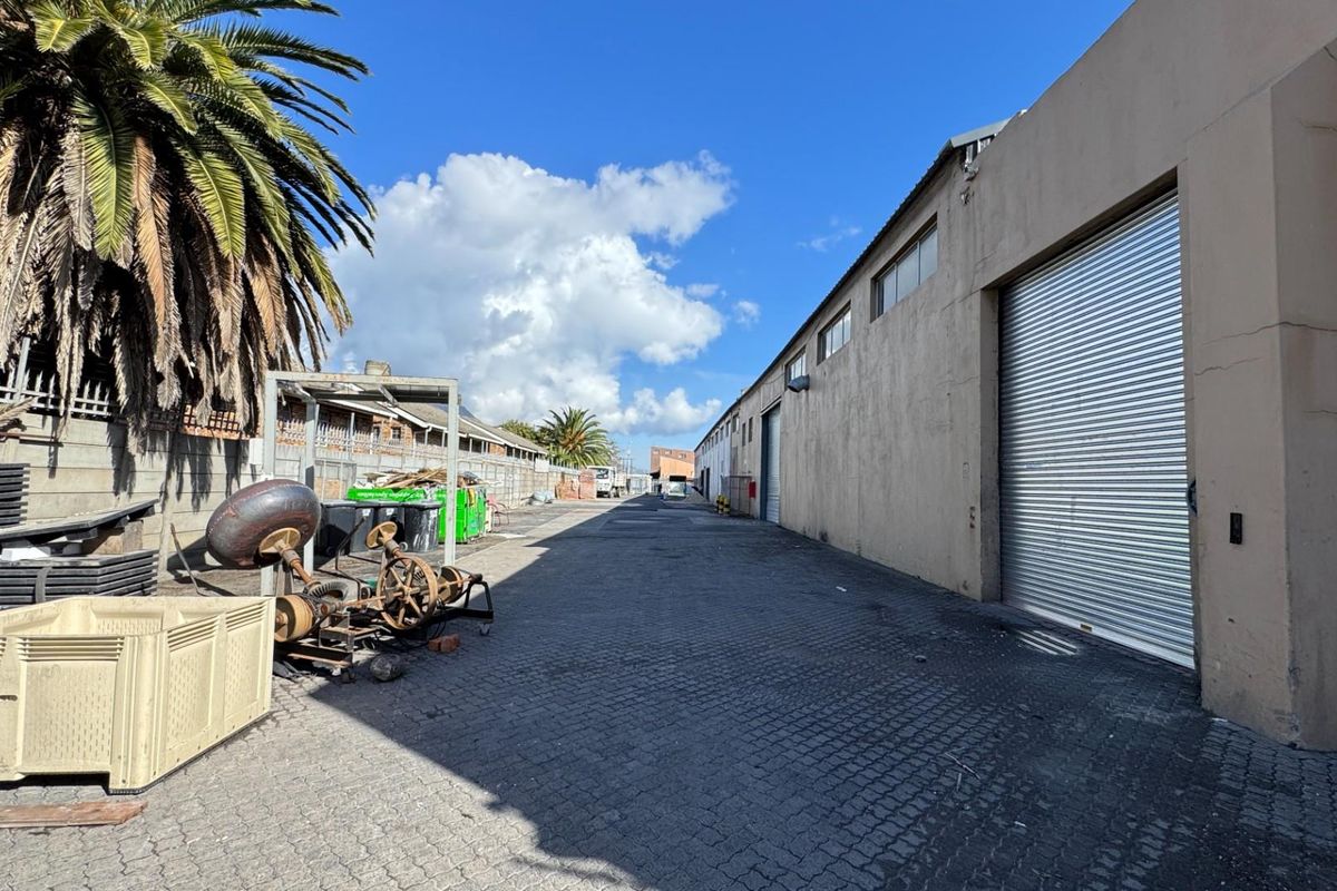 2,362m2 Warehouse  Available To Let Maitland, Cape Town | Yard + Mezzanine + Offices - Photo 2