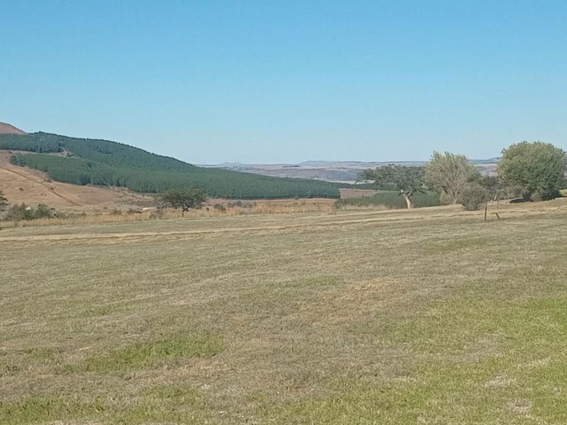 A scenic view of open residential land featuring rolling hills, mature trees, and expansive natural landscape.