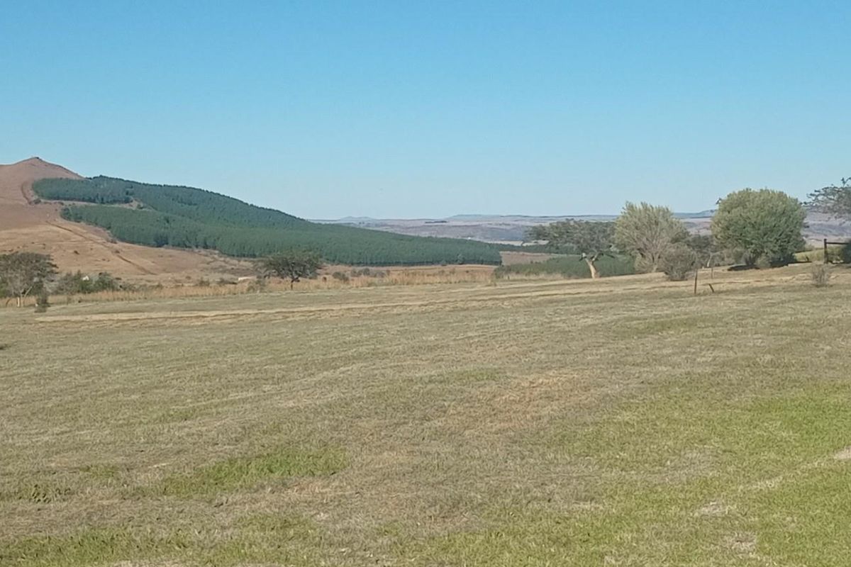 A scenic view of open residential land featuring rolling hills, mature trees, and expansive natural landscape.