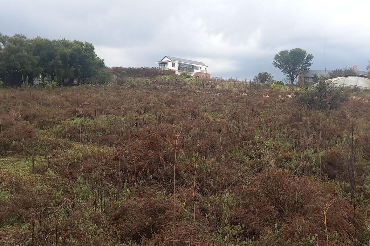 Prime 10,000 m2 Stand with Breathtaking Views over Rietvlei Dam - Photo 5