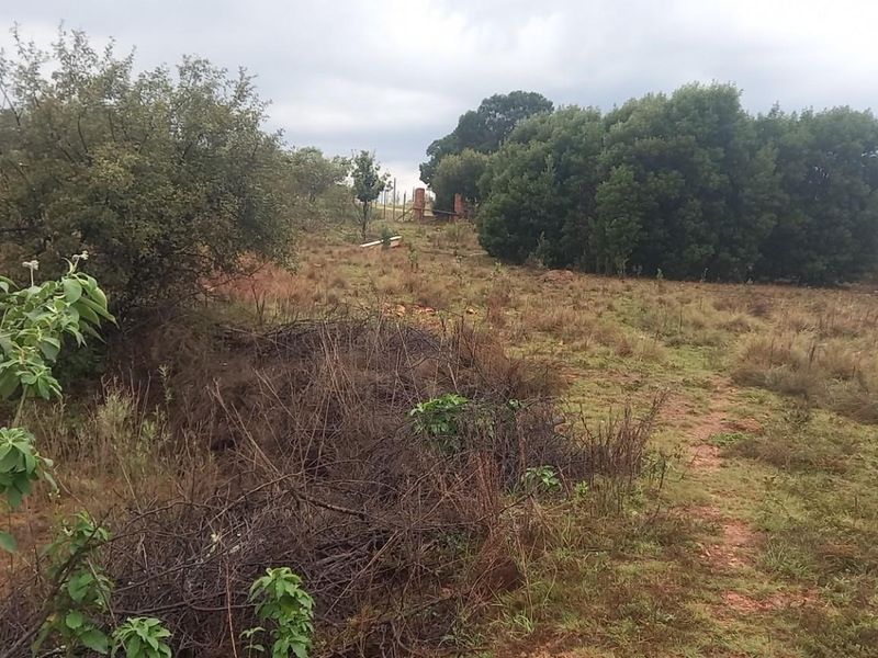 A view of the vacant residential land featuring natural vegetation, shrubs, and trees across the undeveloped plot.