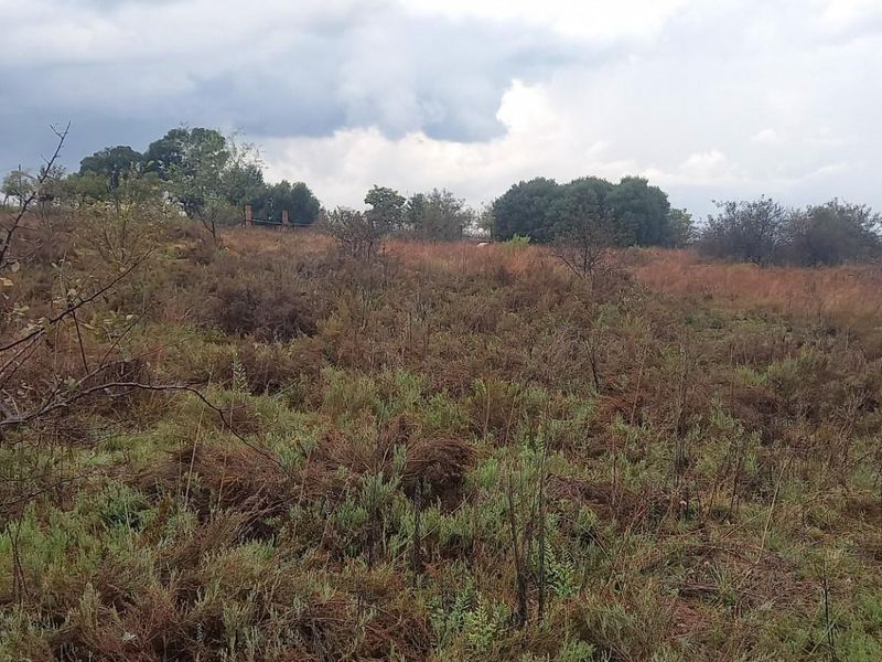 A view of a vacant residential plot featuring natural vegetation and open land, suitable for future development.