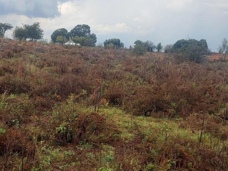 A view of a vacant residential plot featuring natural vegetation and open land, suitable for future development.