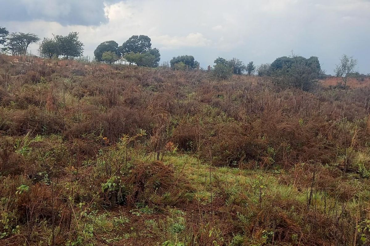 A view of a vacant residential plot featuring natural vegetation and open land, suitable for future development.