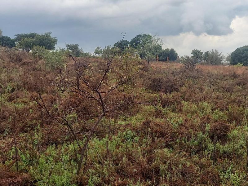 A view of the vacant residential land featuring natural vegetation and shrubs under an overcast sky.